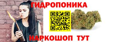 спайс Аргун
