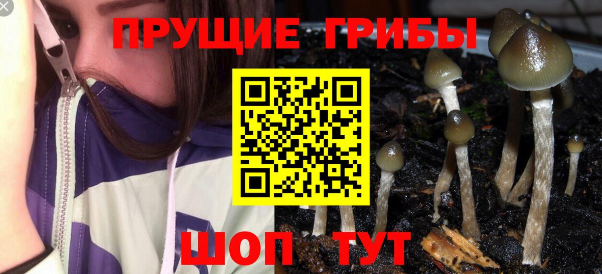 Галлюциногенные грибы мицелий Астрахань